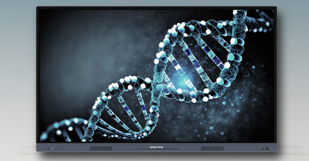 Interactive Displays